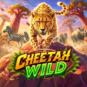 Cheetah Wild 