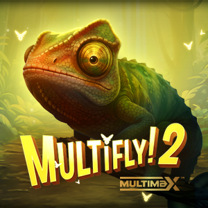 MultiFly! 2 MultiMax™