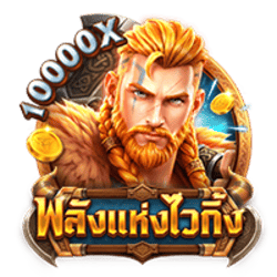 POWER OF VIKINGS